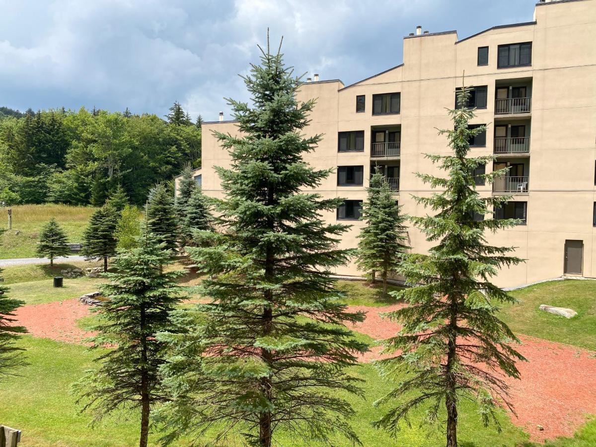 Ski-In Ski-Out Luxury Condo With Hot Tub And Pools Snowshoe Extérieur photo